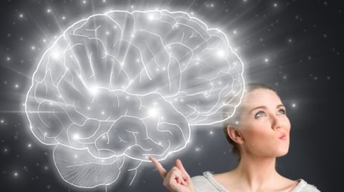 Gehirn: Mythen und überraschende Fakten